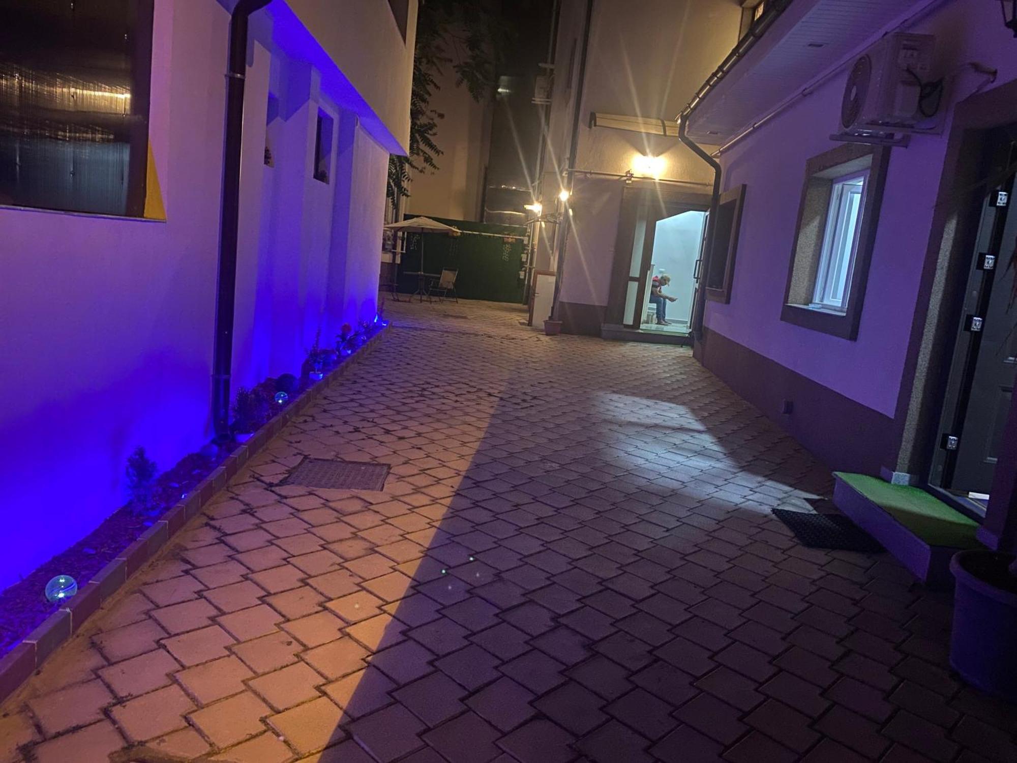 布加勒斯特 Cazan House旅舍 外观 照片
